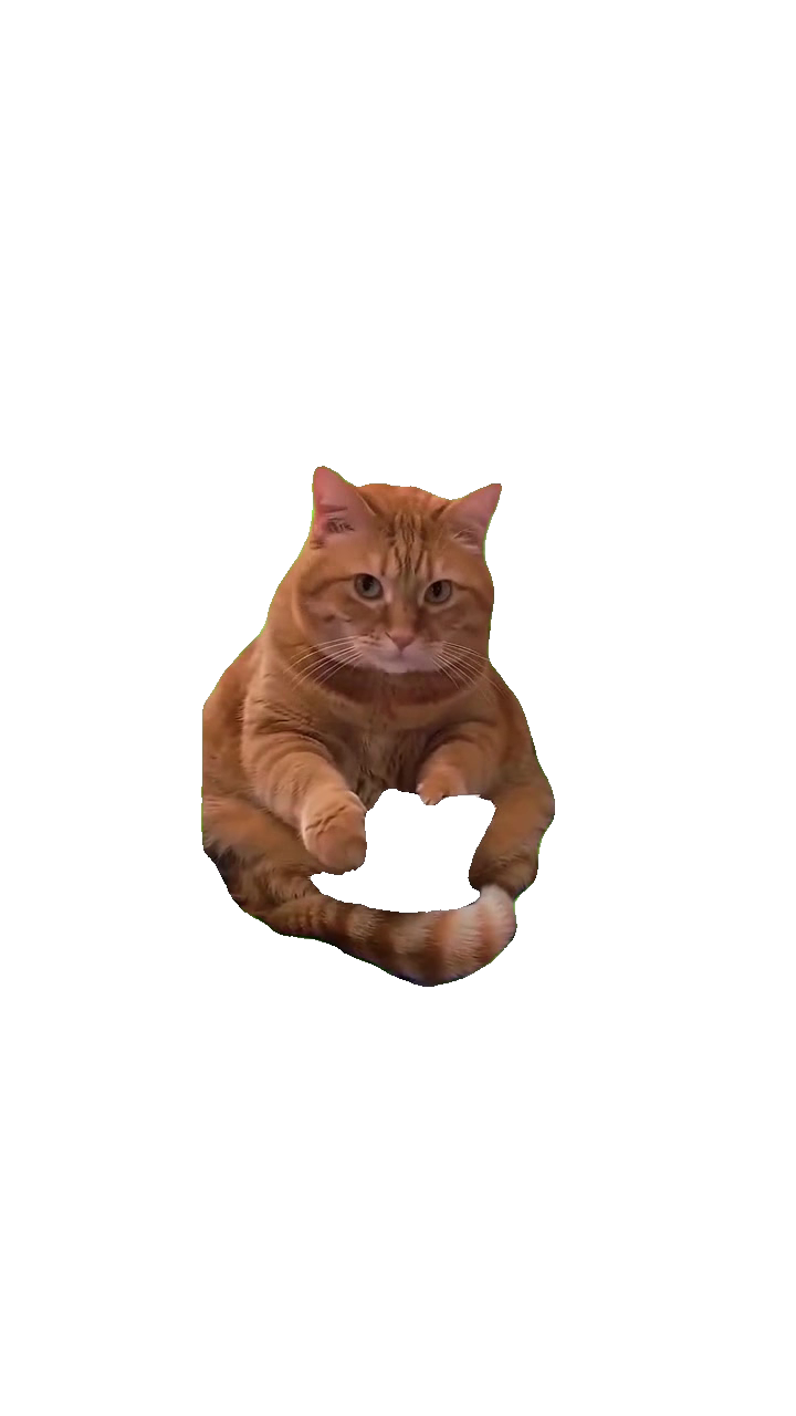 cat-counting-money-orange-cat-with-money