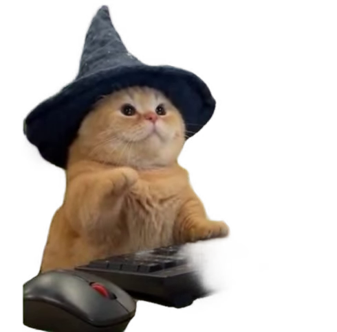 cat-in-witch-hat-typing-at-compu-orange-cat-in-witch-hat