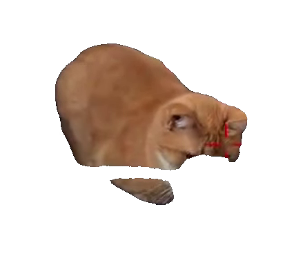 cat-licking-spoon-of-cream-orange-tabby-cat