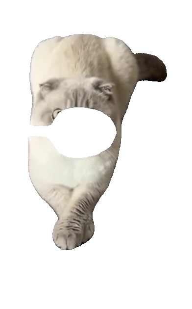cat-waiting-for-spoon-of-milk-fluffy-cream-cat