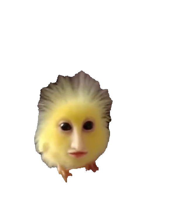 Yellow chick on finger