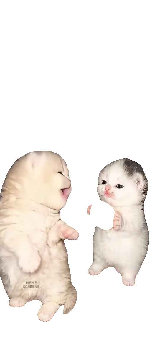 mama-may-i-have-a-cookie-kittens-cream-fluffy-cat