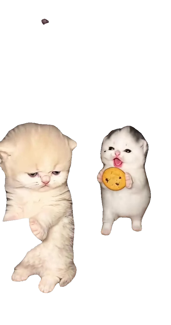 mama-may-i-have-a-cookie-kittens-white-kitten-holding-coo