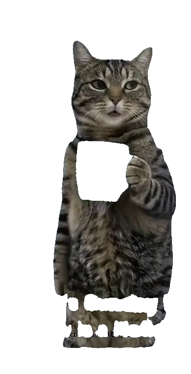 standing-cat-i-hate-mondays-mug-standing-tabby-cat-with