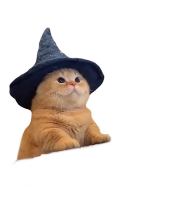 wizard-hat-cat-at-computer-with-orange-cat-in-wizard-hat