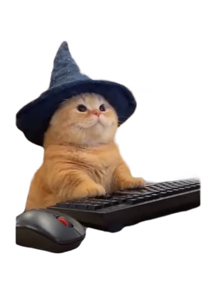 Orange cat in wizard hat