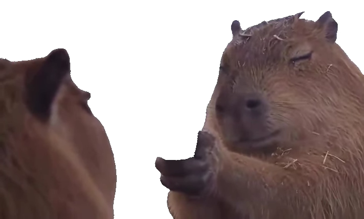 your-cat-realizing-it-cant-kill-capybara-holding-pistol